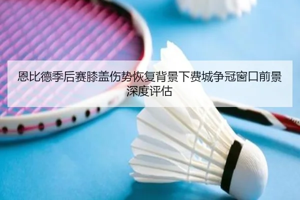 恩比德季后赛膝盖伤势恢复背景下费城争冠窗口前景深度评估