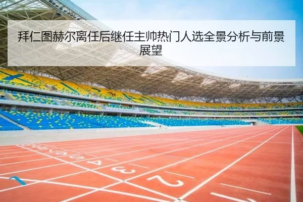 拜仁图赫尔离任后继任主帅热门人选全景分析与前景展望